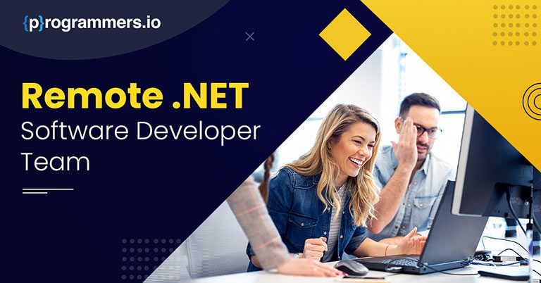 Remote .NET Software Developer Team